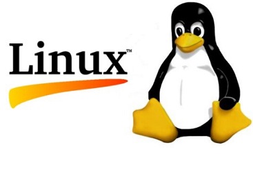 remove windows password with linux